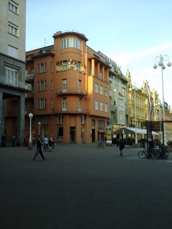 Apartment Radiceva
