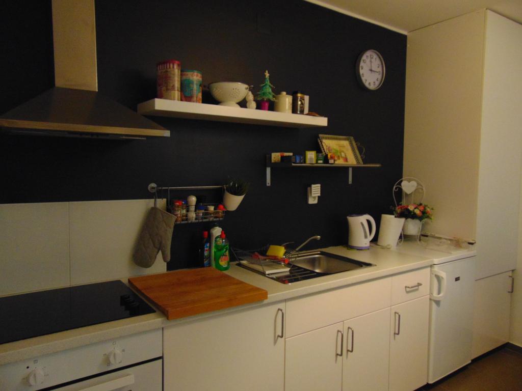 Apartment Radiceva *